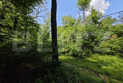 Casuta de vacanta in padure , zona Barnova - 3