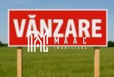 Teren extravilan | Industrial Vest | Investitie | Acces direct - 1