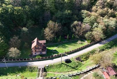 Vila Vetel zona Valea Caoi-OFERTA SPECIALA DE SARBATORI - 13