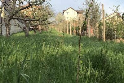 Teren de 1043 mp, în Tătărași