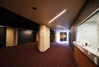 Alexandru cel Bun, spatiu excelent pozitionat, S+P, 800mp construiti - 8
