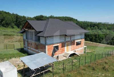 Pensiune la rosu, 370mp, Ciprian Porumbescu - 3