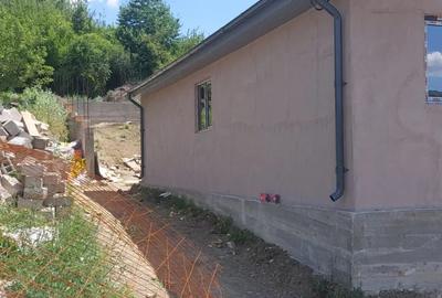 Vand casa in Vladesti 3 camere - 4