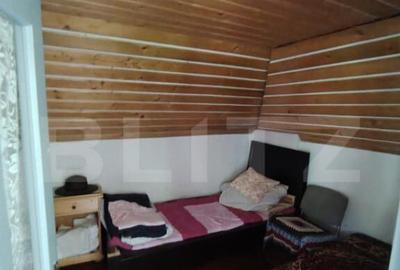 Cabana 5 camere Salard - 6