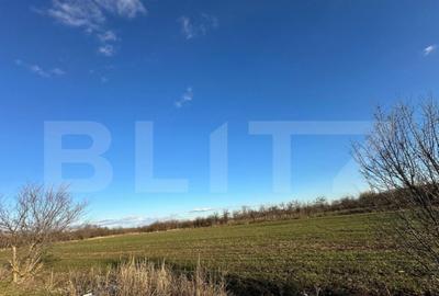 Casa batraneasca de vanzare, 48 mp, zona Patroaia Deal cu C - 14