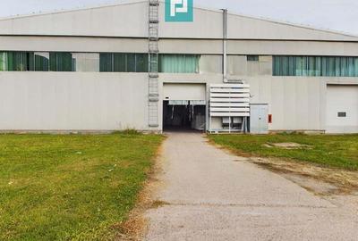 Hala industriala 1354 mp in Arad - 3