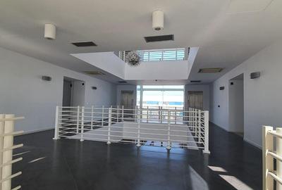 CLADIRE BIROURI - VANZARE - 6000 mp + lobby - 9