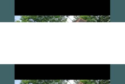 Casă cu 3 camere în Rovinița Mare - 3