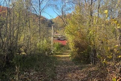 Teren langa pădure 6400mp+casa demolabila-deschidere 35 ml - 17