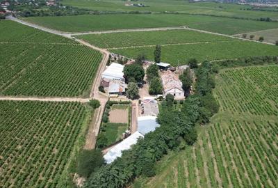 Crama de vanzare in zona 0 a podgoriilor din Vrancea - 3