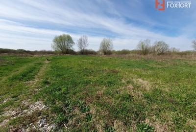 Teren Construcții intravilan de 504 mp, în Utvin - 11