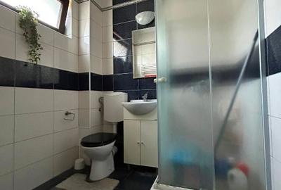 Casa duplex vanzare, semimobilat, pod, loc parcare curte - Sat Dudu, Chiajna - 7