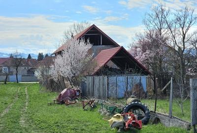 Casă individuală cu 4 camere cu Canalizare în Central - 2