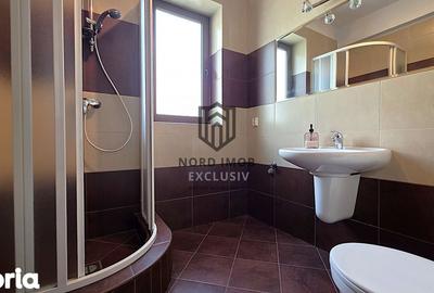 Apartament cu 4 camere, mobilat în Grivița - 14