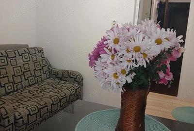 Vanz. Apart. 1 cam., cf.1 decom. supr. utila 36,43 mp. mobilat si utilat. str.Rosiorilor - Dorobanti - 11