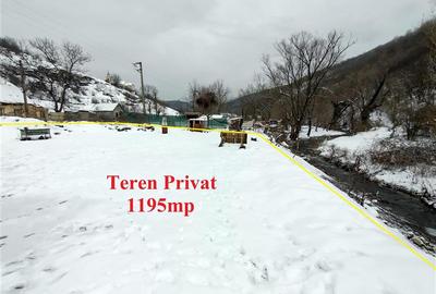 Teren Construcții intravilan de 1195 mp, în Ciclova Română - 3