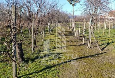 Casa individuala cu teren generos 2158mp, front 12m, liva... - 2