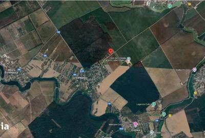 Teren de 935 mp, în Găneasa - 7