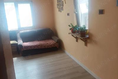 De vanzare proprietate spa?ioasa 2 case + curte generoasa - 4