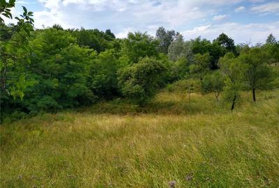 Teren de 4700 mp, în Romos - 8