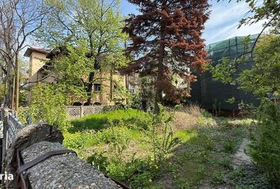 Spațiu comercial, în Aviatorilor