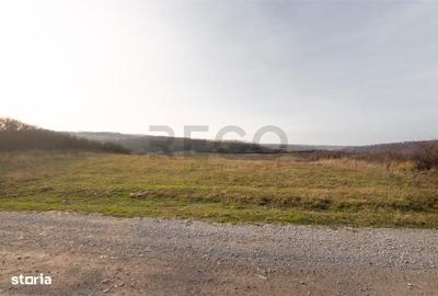 Teren de 6895 mp, în Paleu
