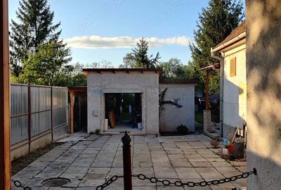 Casa singur in curte in Pia?a Cluj - 8