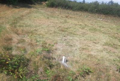 Teren extravilan 3300 mp, Car?i?oara- Set - 8