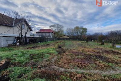 Teren de 1300 mp, în Jebel - 3