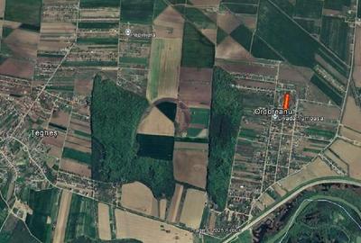 Teren Construcții intravilan de 3200 mp, în Clinceni - 3