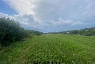 Teren de 8000 mp, în Daia - 3