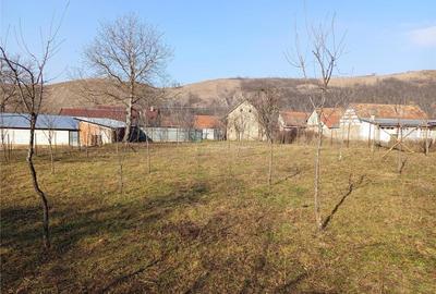 Teren de 1800 mp, în Ciclova Română - 12