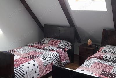 Vila+ teren de 2,2ha la 5 km de Vatra Dornei - 4