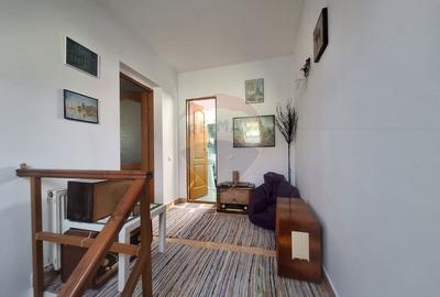 Doua case de vanzare in aceeasi curte, in zona Sub Arini - 8