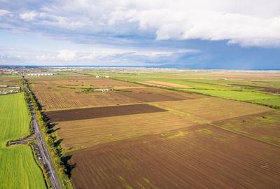 Teren de 100000 mp in Arad - 1