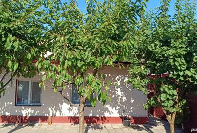 Vand casa in orasul Deta strada Mihai Viteazu renovata pret bun - 8