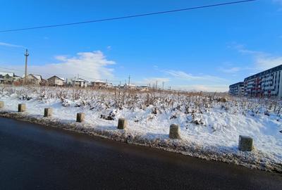Teren de vanzare sau inchiriere Chiajna/ perfect pentru casa - 4