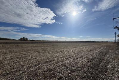 Teren agricol extravilan de 25000 mp, în Biled - 2