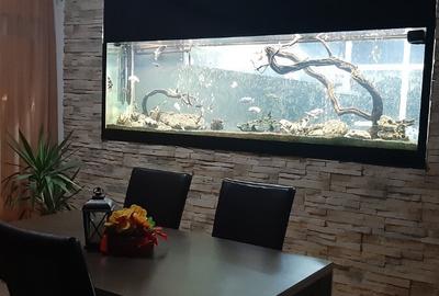 Pensiune in techirghiol - 3