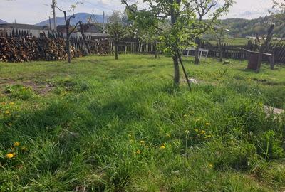 Casă cu 3 camere cu Teren 566 Mp în Petros - 4