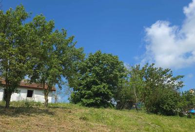Casă cu 3 camere în Cotu Văii - 5