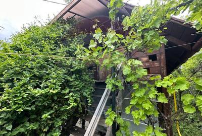 DE VANZARE - Cabana / casa vacanta in COAS - 12