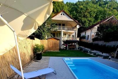 Casă cu 4 camere în Valea Mănăstirii - 1