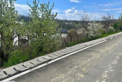 Spațiu comercial, în Valea Lupului - 5