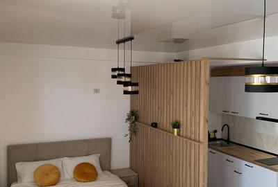 Garsonieră în Nord - 11