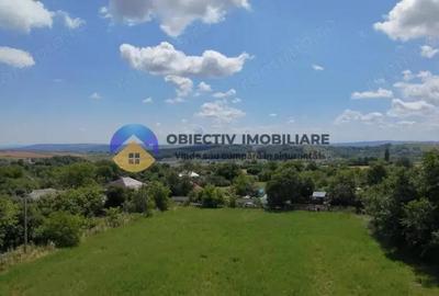 Teren intravilan de vanzare Unghi- jud. Neamt - 6