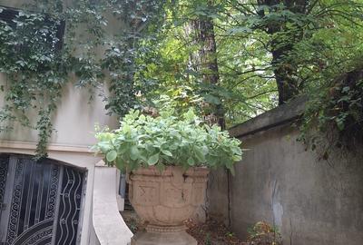 Studio cu garaj și boxă ultracentral - 9