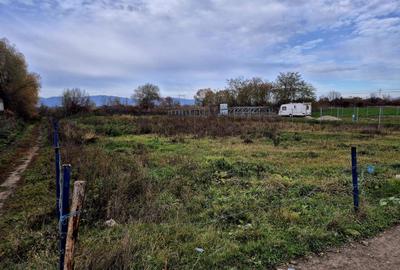 Teren constructie hala/depozit/mica insdustrie/service auto, Halchiu - 10