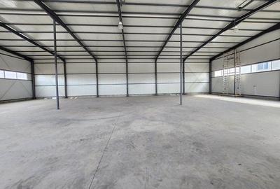 Spațiu industrial, de 500 mp, în Central - 8