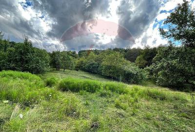 Teren Breaza 5,052 mp Podu Vadului, str. 23 August - 2